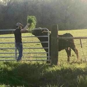 Meet your Posher, Cameron